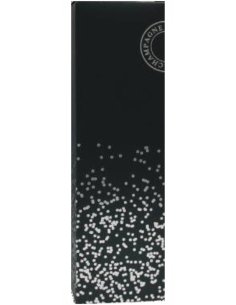 Etui champagne bulles en fête 2