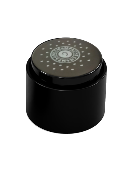 copy of champagne bottle stopper