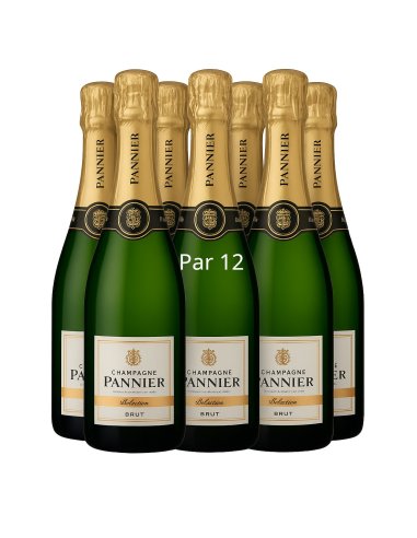 Champagne Pannier brut par 12