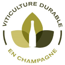 Viticulture durable Champagne Marteaux