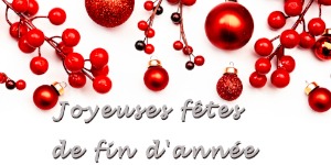 Joyeuses fêtes de fin d'année 