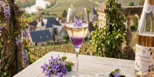 champagne-mai-cocktail-violette